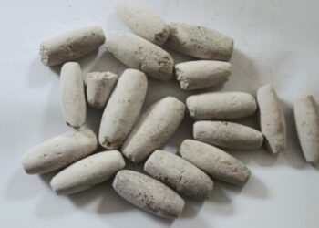 Ayilo: Lowers cholesterol, stops the growth of cancer cells