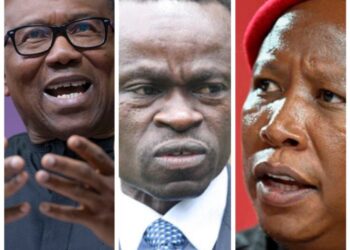 Malema, Lumumba, Peter Obi, denied entry to Independence Square for ‘convention’ on Africa’s challenges