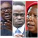 Malema, Lumumba, Peter Obi, denied entry to Independence Square for ‘convention’ on Africa’s challenges