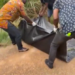 Market woman found dead in bush at Anwomaso-High Tension