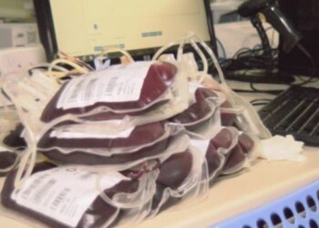 Jehovah ’s Witness sues country for receiving life-saving blood transfusion against her will