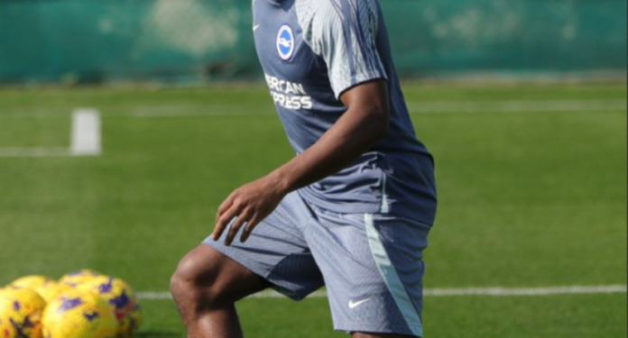 Tariq Lamptey returns to Brighton training after recovering from injury