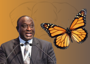 Gov’t must meet needs of Ghanaians – Alan