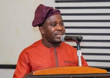 Dumsor: You should resign by now – IES Director tells Napo