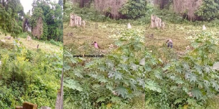 Wassa Amenfi East: Fear grips residents as they witness serial grave desecration