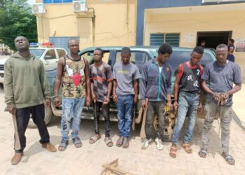 10 land guards with weapons arrested in Ga South Municipality