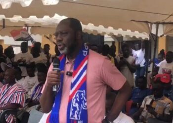 2024 polls: NAPO breaks silence on NPP’s defeat