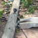 Thieves steal 500 meters of ECG cables in Gomoa Dominase