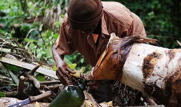 Palm wine tapper found dead by roadside in Akyem Subi