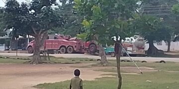 58-year-old woman burnt to death in domestic fire at Danyame